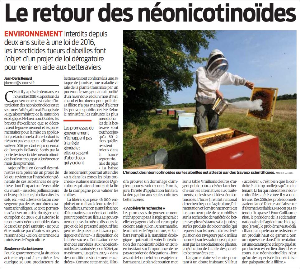 2020-09-03 SO Néonicotinoïdes