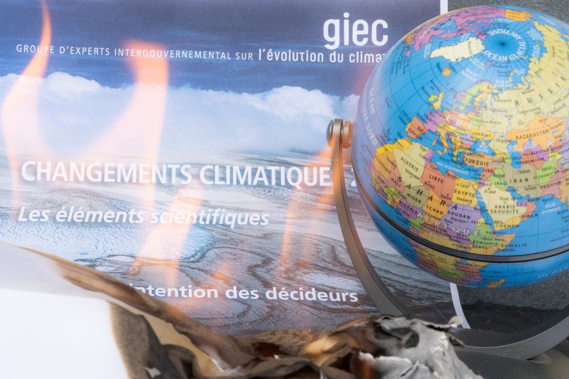 1136_080_hl_smarty_1511733