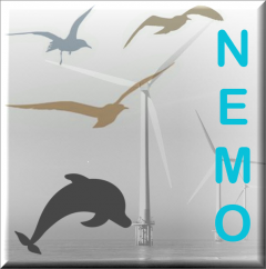 NEMO