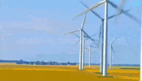 OfficialBoldBluejay-max-1mb