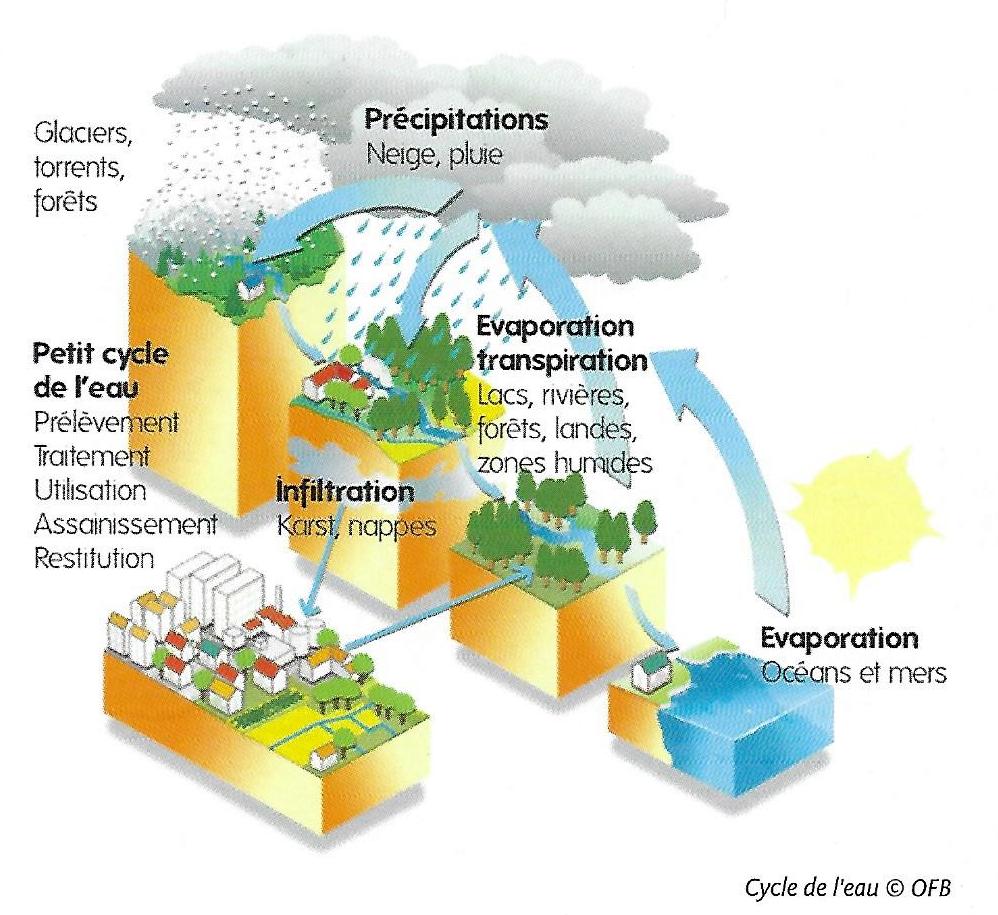 Cycle de l'eau