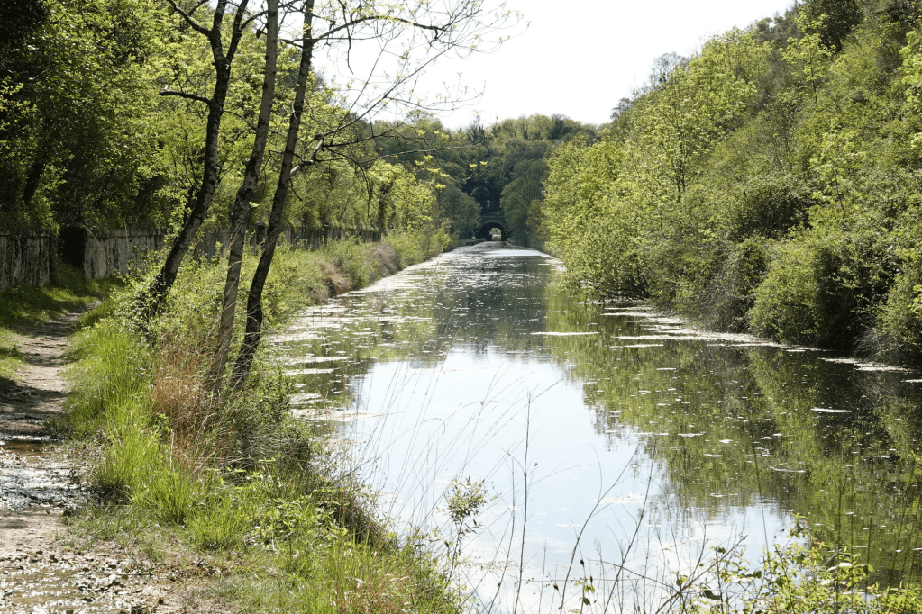 LE CANAL de La Rochelle à&nbsp;Marans