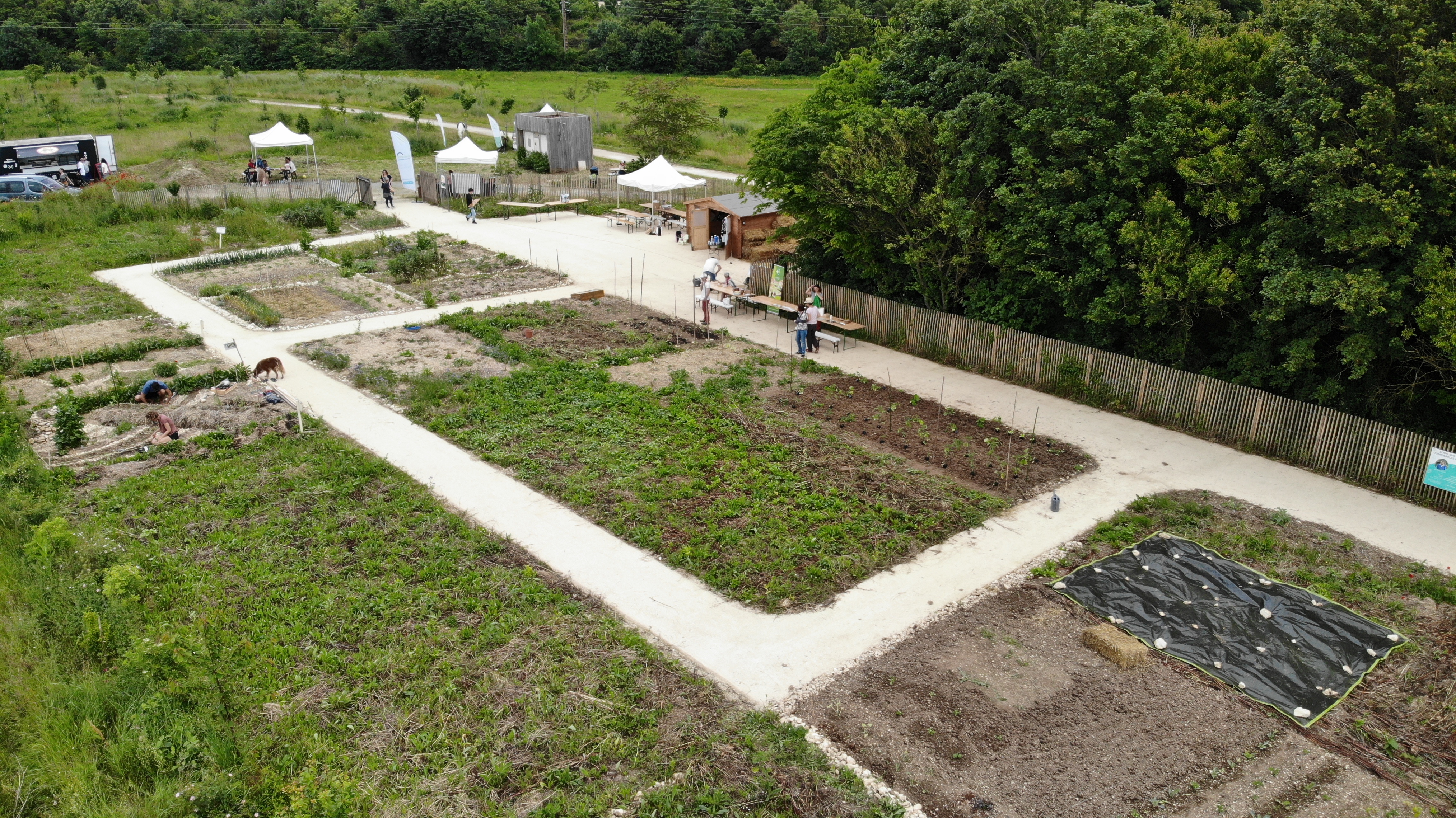 created by dji camera