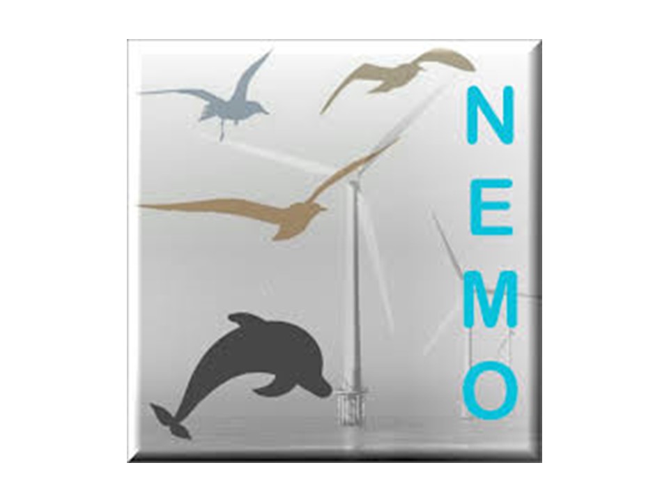 NEMO