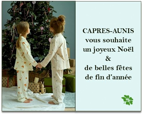 C&rsquo;est Noël !