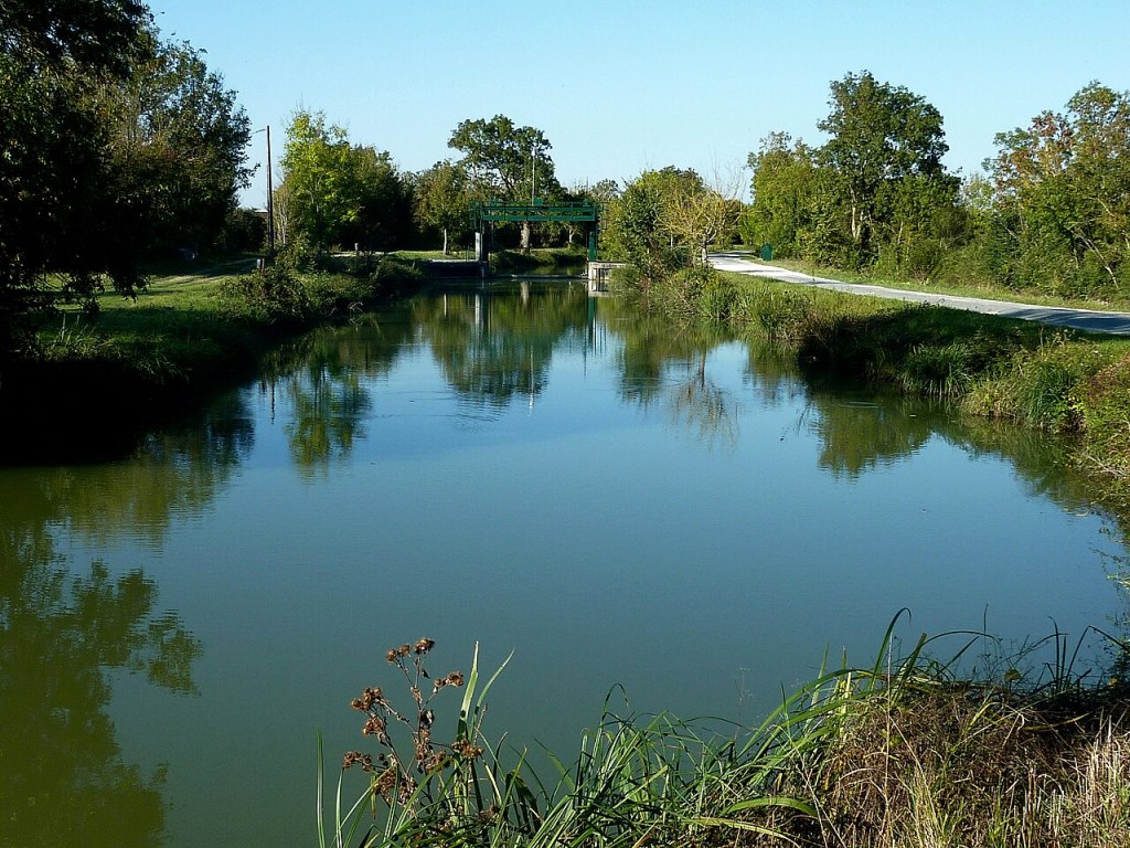 Le Marais de&nbsp;Rochefort