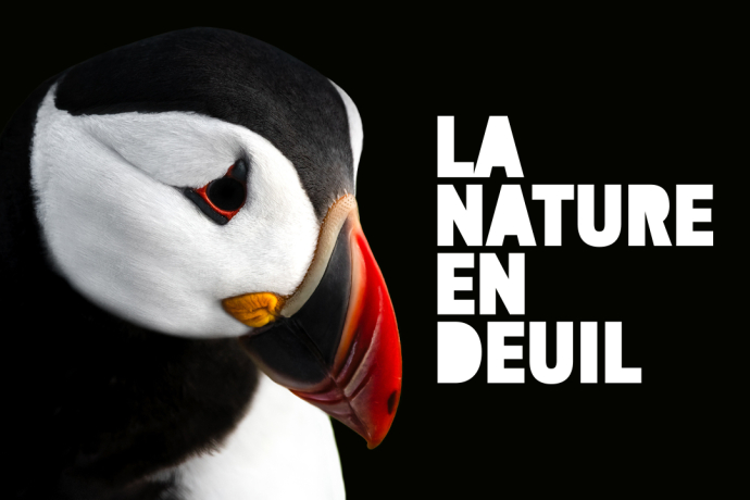 La nature en&nbsp;deuil