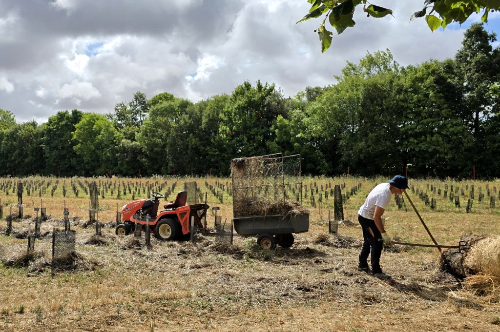 Atelier paillage du Vignoble Rochelais&nbsp;Bio