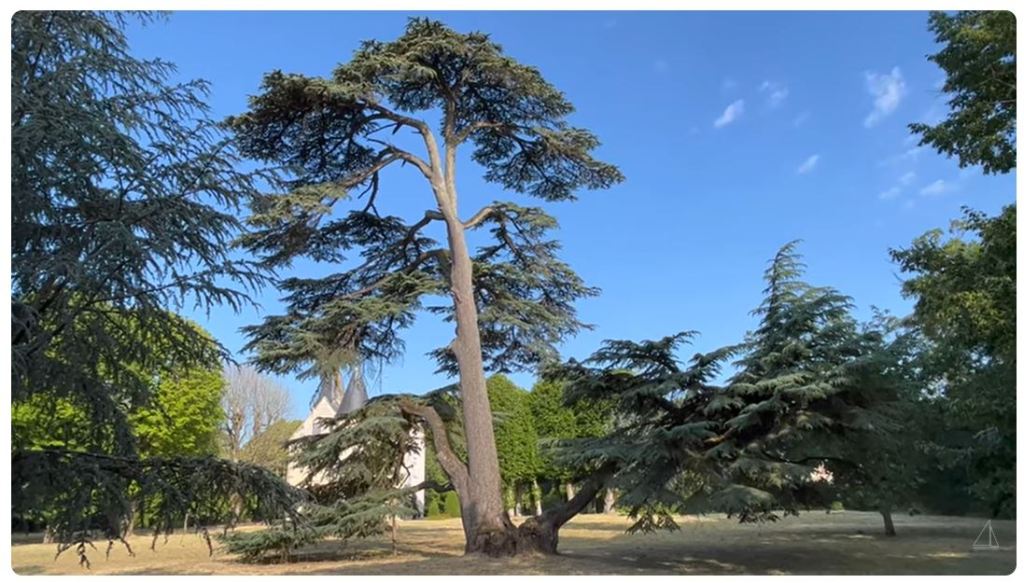 Domaine de La Faucherie (Abattage bois&nbsp;classé)